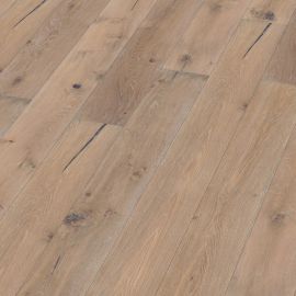 Oak No 12 - Lancaster